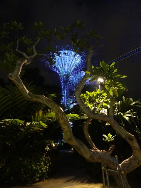 Gardens by the Bay [ .]