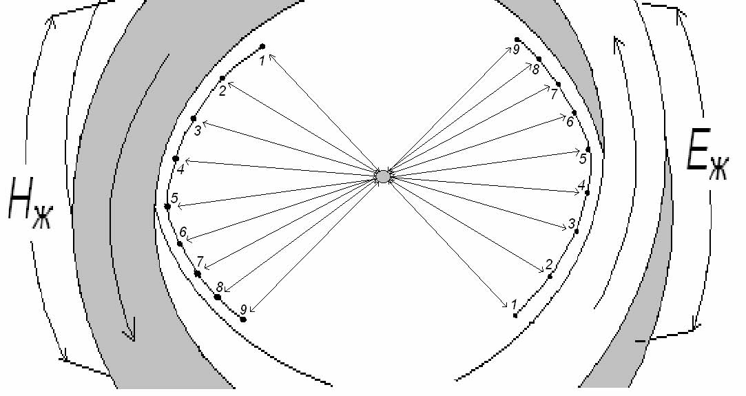 0x08 graphic