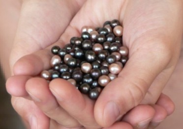 pearlberries [Koree Key]